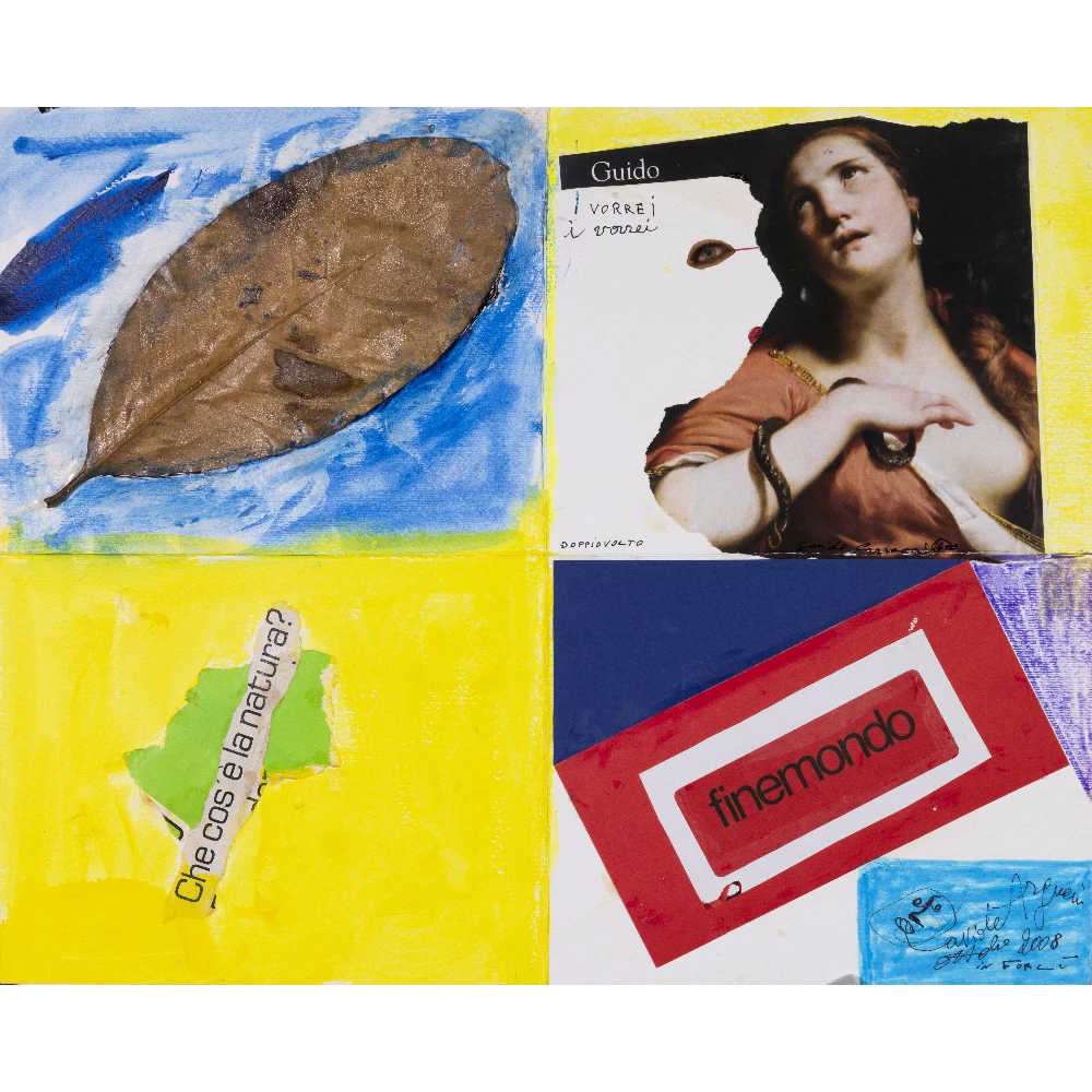 Davide Argnani - Doppio volto - 2008 - Collage polimaterico e acrilico su cart copia