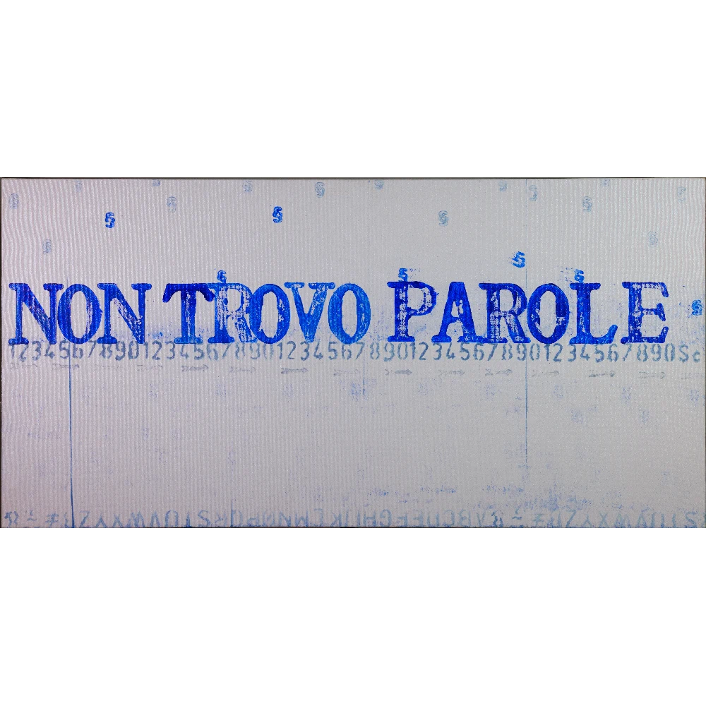Gianluca Cupisti - Non trovo parole - 2008 - Vinilici e acrilici su tela copia