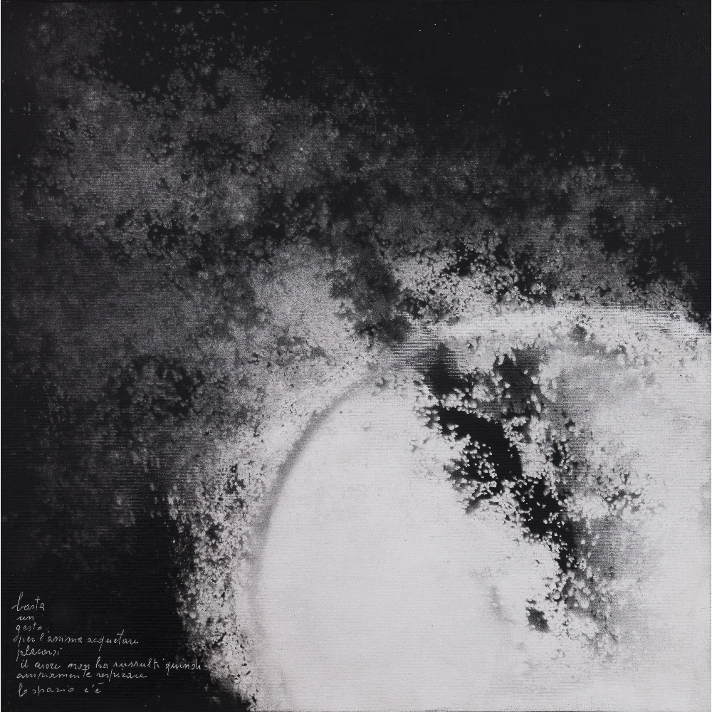 RIRI NEGRI - L Universo della mente n 2004 - -2008- Nitro e mista , tela su tavola copia